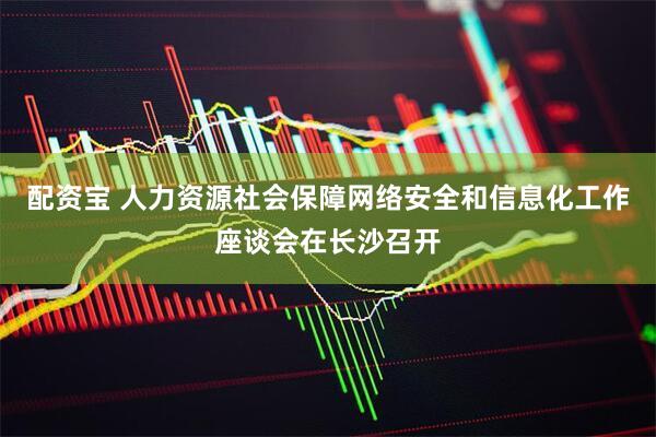 配资宝 人力资源社会保障网络安全和信息化工作座谈会在长沙召开