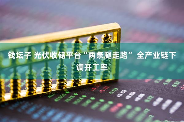 钱坛子 光伏收储平台“两条腿走路” 全产业链下调开工率