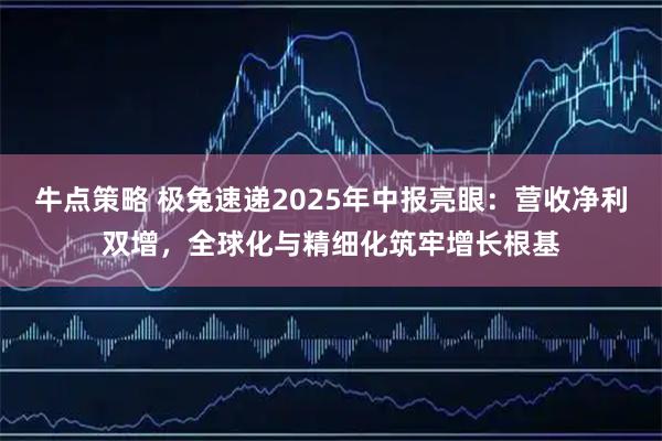 牛点策略 极兔速递2025年中报亮眼：营收净利双增，全球化与精细化筑牢增长根基